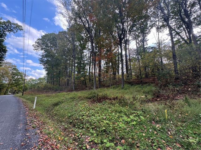 0 Old Hickory Flats Road, Jefferson Twp, PA 15501
