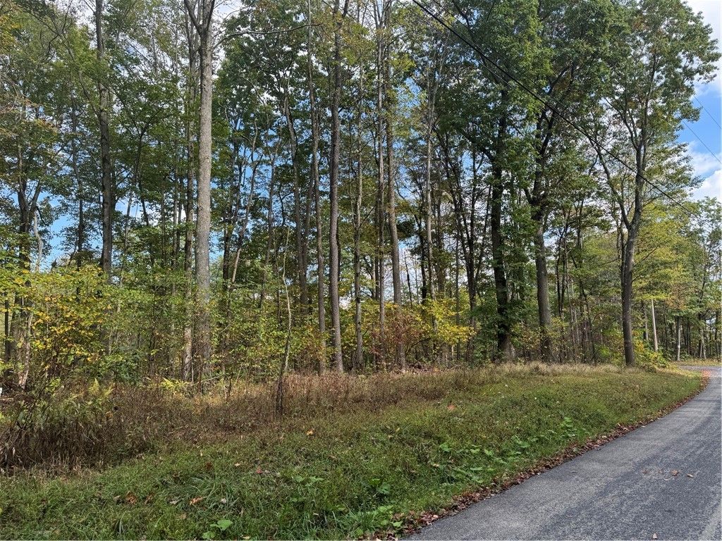 0 Old Hickory Flats Road, Jefferson Twp, PA 15501