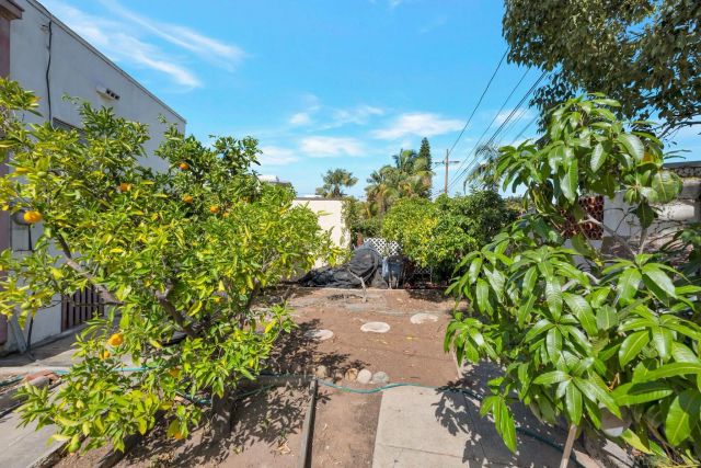 4817 Biona Drive, San Diego, CA 92116