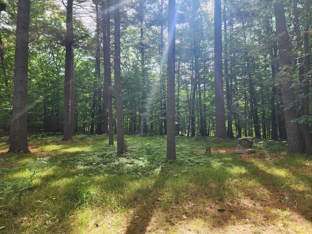 80 Beech Street, Jay, NY 12941