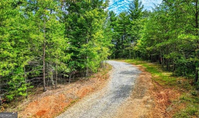 199 Lola Mae Way, Morganton, GA 30560