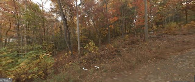 0 Holly Lane 2, Ellijay, GA 30540