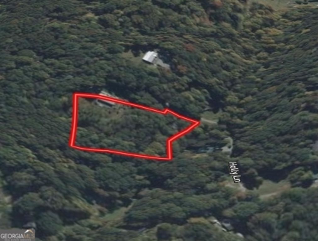 0 Holly Lane 2, Ellijay, GA 30540