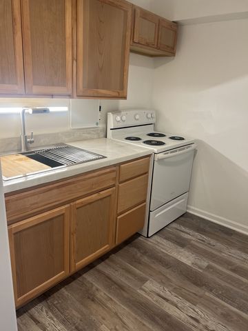 7337 S South Shore Drive 216, Chicago, IL 60649