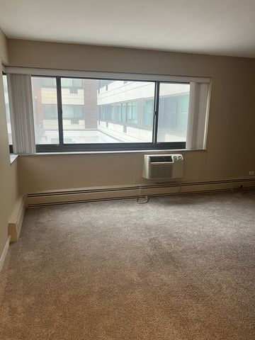 7337 S South Shore Drive 216, Chicago, IL 60649