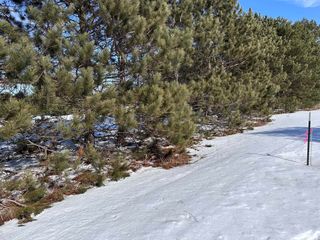 Honor Highway, Interlochen, MI 49643