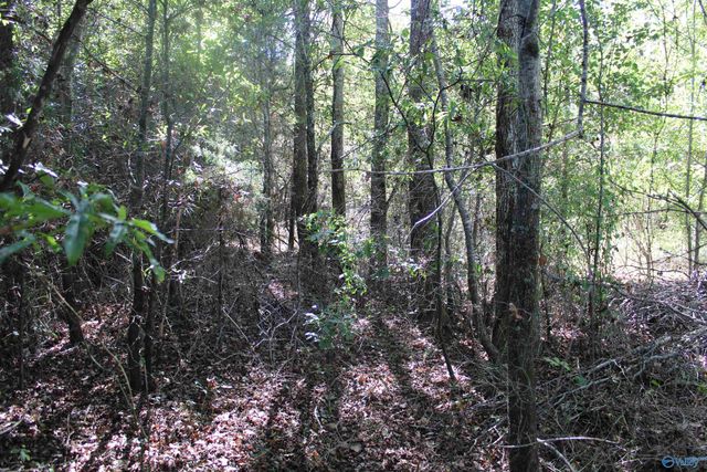 6.95 Acres 7th Street, Ardmore, AL 35739