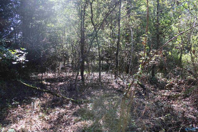 6.95 Acres 7th Street, Ardmore, AL 35739