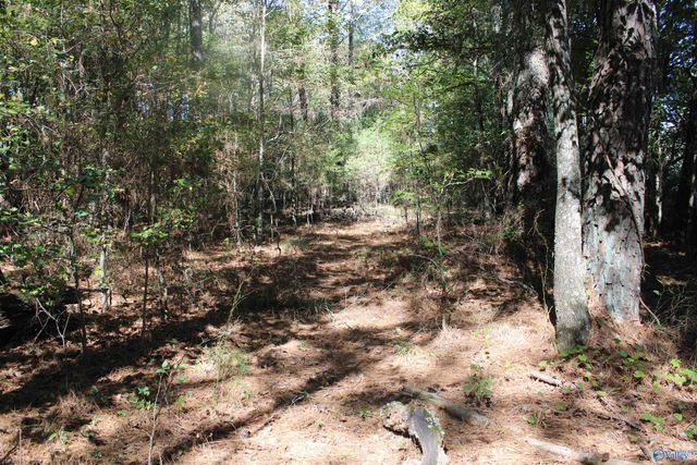 6.95 Acres 7th Street, Ardmore, AL 35739