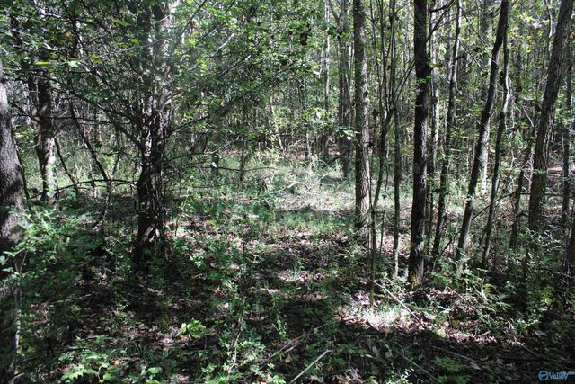 6.95 Acres 7th Street, Ardmore, AL 35739