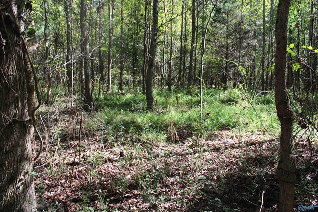 6.95 Acres 7th Street, Ardmore, AL 35739