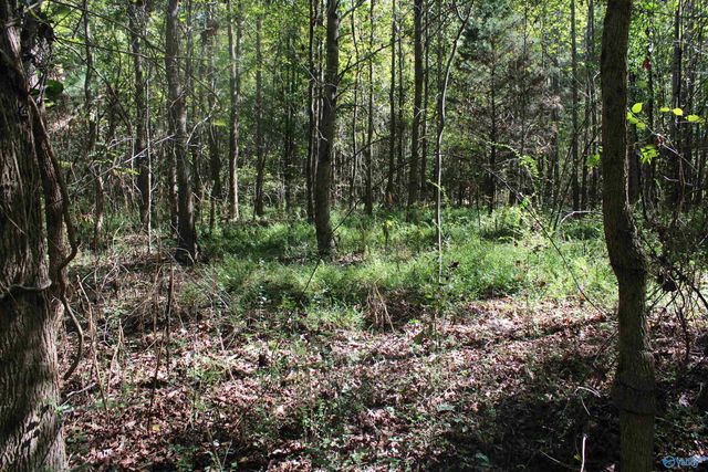 6.95 Acres 7th Street, Ardmore, AL 35739