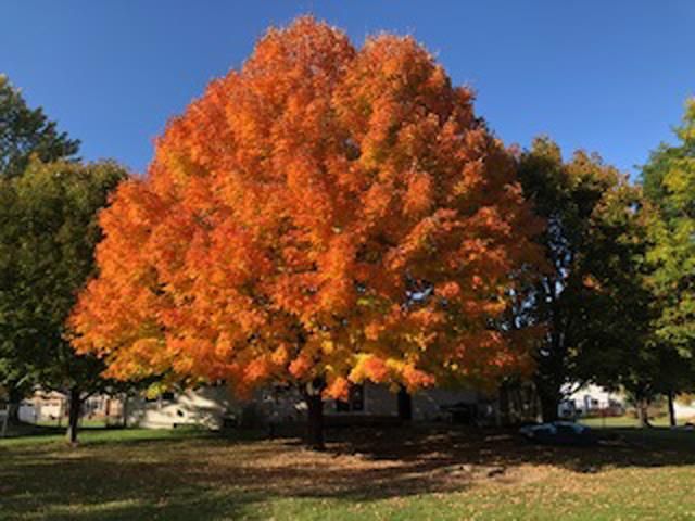 150081 PEREGRINE WAY, Wausau, WI 54401