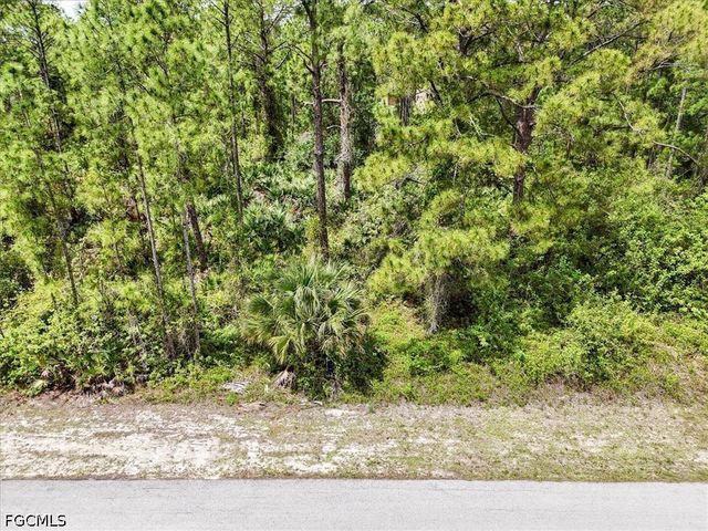 2117 Grayson AVE, Alva, FL 33920