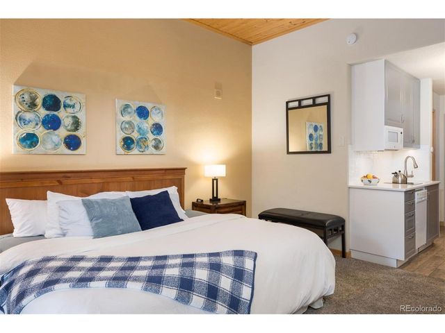 23110 US Highway 6 5002, Keystone, CO 80435