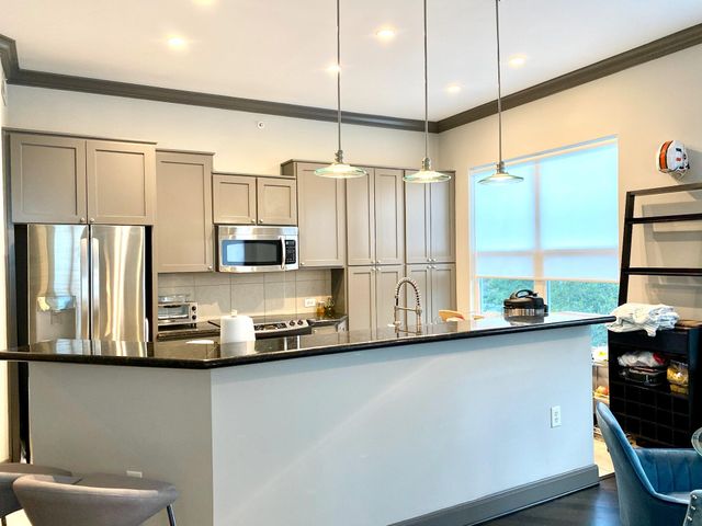 1010 Rosine Street 20, Houston, TX 77019