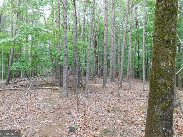0 Panorama Drive, Sautee Nacoochee, GA 30571