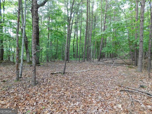 0 Panorama Drive, Sautee Nacoochee, GA 30571