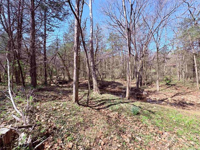 161 Cherokee Road, Cherokee Village, AR 72529