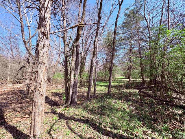 161 Cherokee Road, Cherokee Village, AR 72529