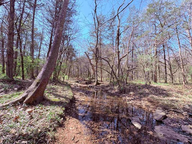161 Cherokee Road, Cherokee Village, AR 72529