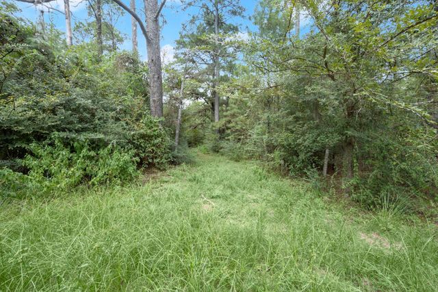 TBD Long Bow, Hockley, TX 77447