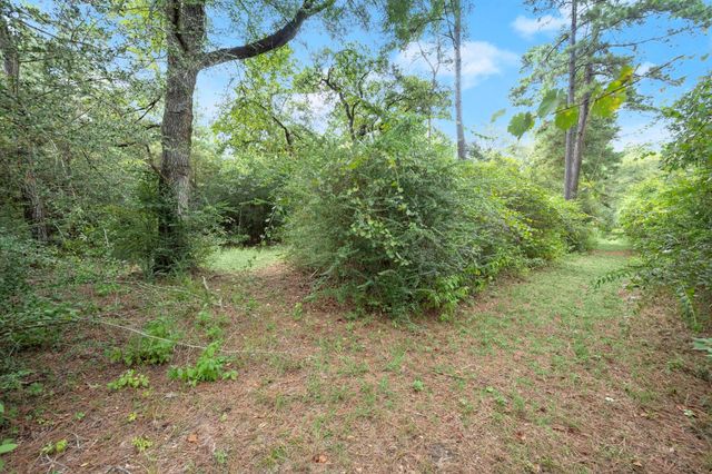 TBD Long Bow, Hockley, TX 77447