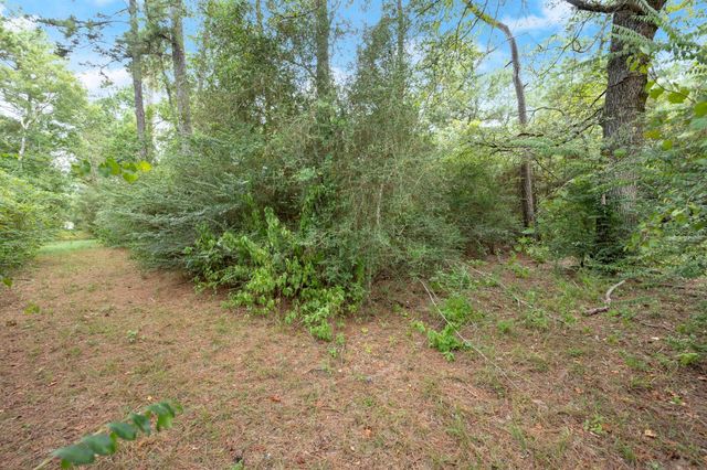 TBD Long Bow, Hockley, TX 77447