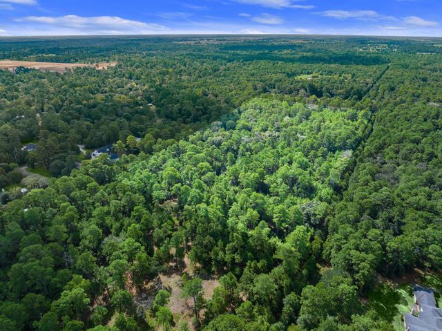 TBD Long Bow, Hockley, TX 77447