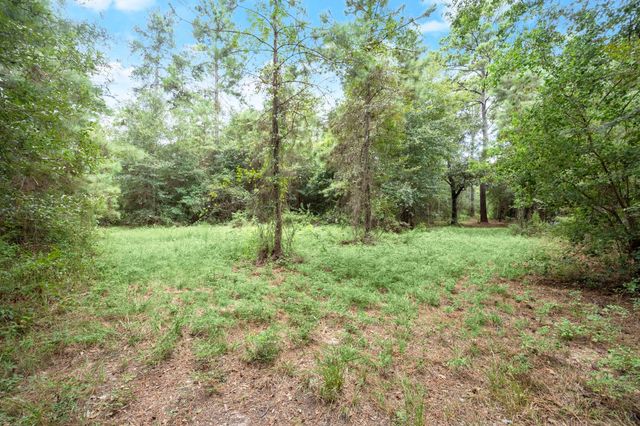 TBD Long Bow, Hockley, TX 77447