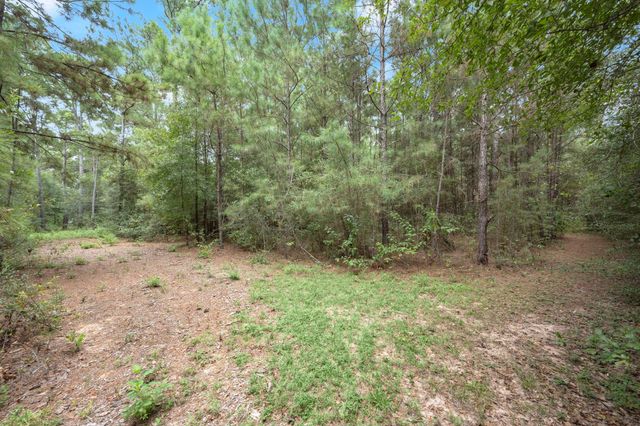 TBD Long Bow, Hockley, TX 77447