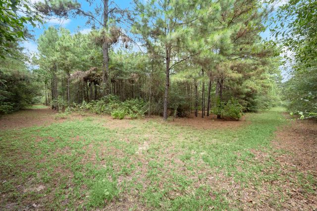 TBD Long Bow, Hockley, TX 77447