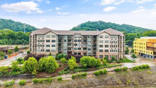 445 W Blount Ave 224, Knoxville, TN 37920