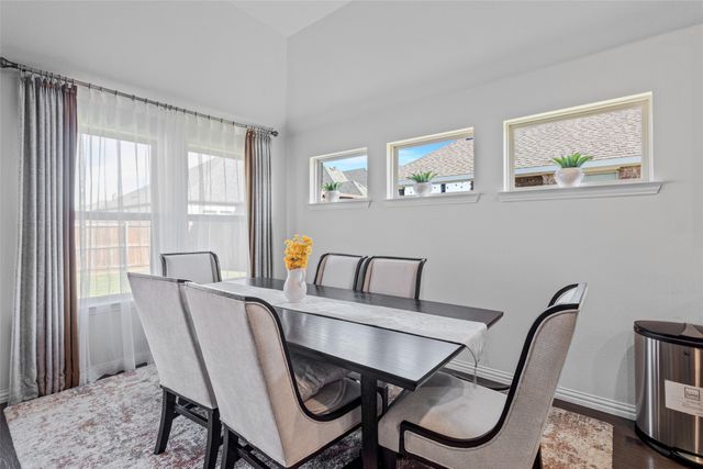 1124 Diamond Dove Drive, Little Elm, TX 75068