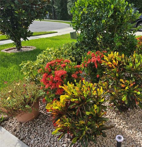 532 EMILY GLEN STREET, Deland, FL 32724