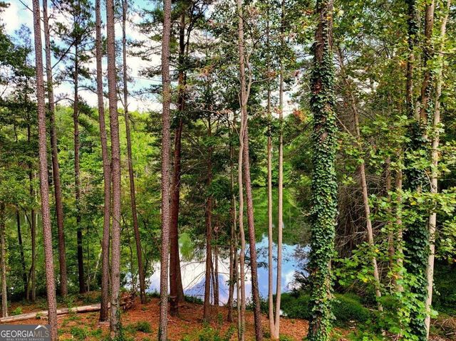 3040 Cypress Cove, Ball Ground, GA 30107