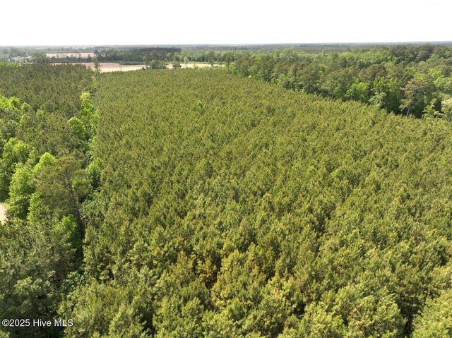 0 Eds Grocery Road, Williamston, NC 27892