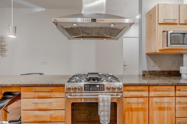 400 E Mcbee Avenue Unit 4211, Greenville, SC 29601