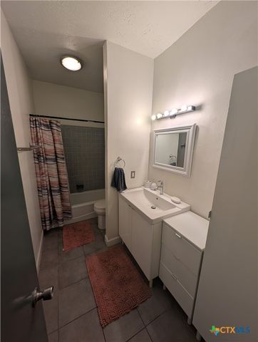 1013 Chestnut Street D2, San Marcos, TX 78666
