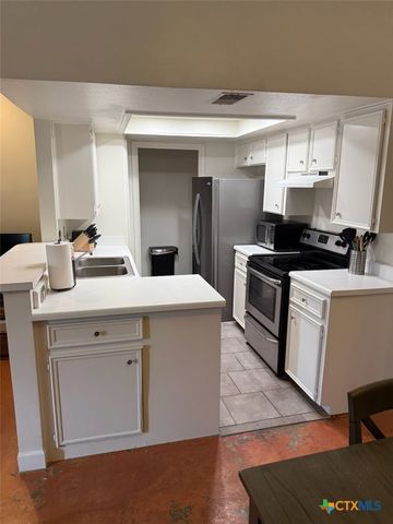 1013 Chestnut Street D2, San Marcos, TX 78666