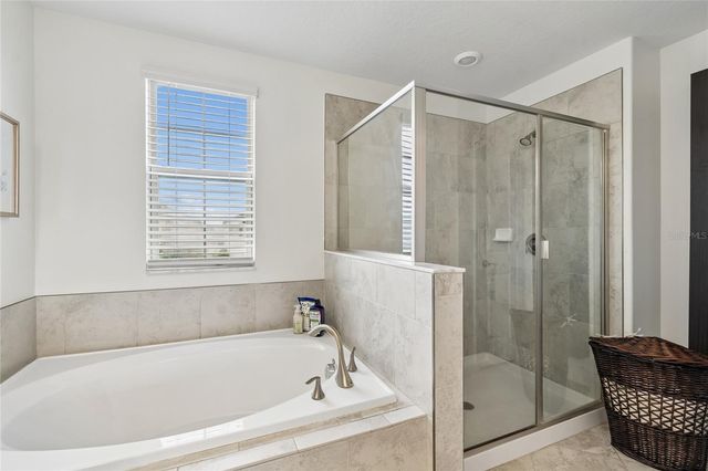 8960 SHADYSIDE LANE, Land O Lakes, FL 34637