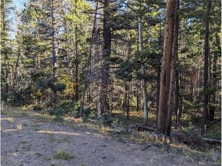 3067 Forbes Park Loop, Fort Garland, CO 81133