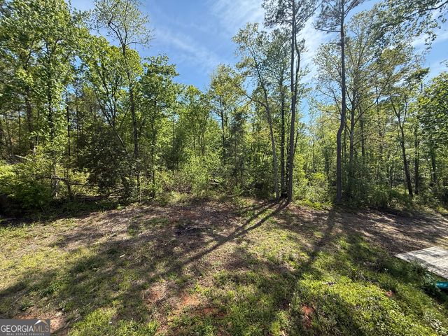9 Cherokee Resort Road, Pine Mountain, GA 31822