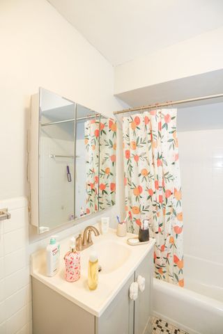 9020 Lamon Avenue GE, Skokie, IL 60077