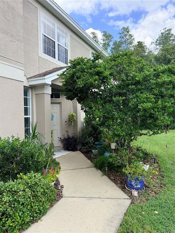 6237 DUCK KEY COURT, Tampa, FL 33625