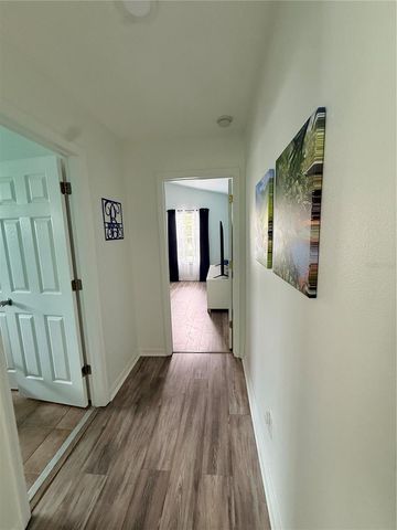 6237 DUCK KEY COURT, Tampa, FL 33625