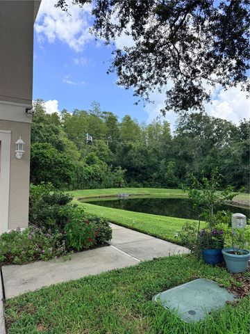 6237 DUCK KEY COURT, Tampa, FL 33625
