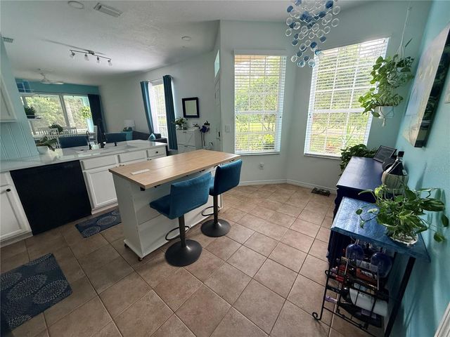 6237 DUCK KEY COURT, Tampa, FL 33625