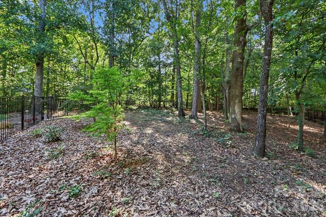 8152 Deep Water Lane, Denver, NC 28037