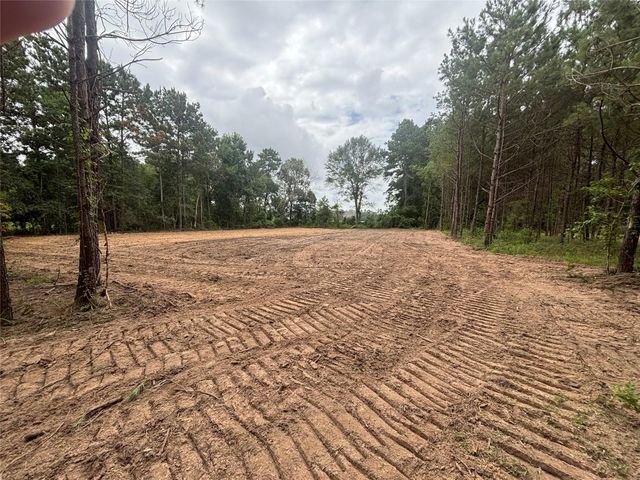 TBD County Road 3015, Dayton, TX 77535